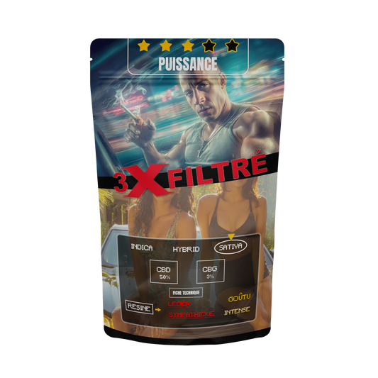 3X FILTRE