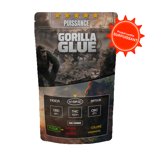 GORILLA