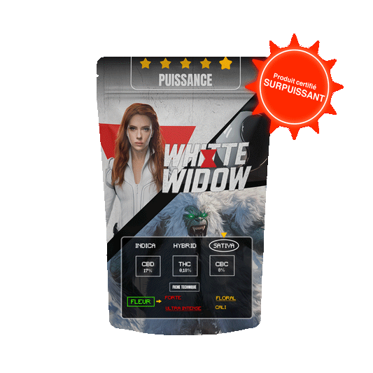 WHITE WIDOW