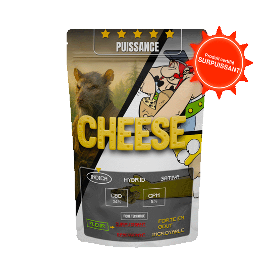 CHEESE