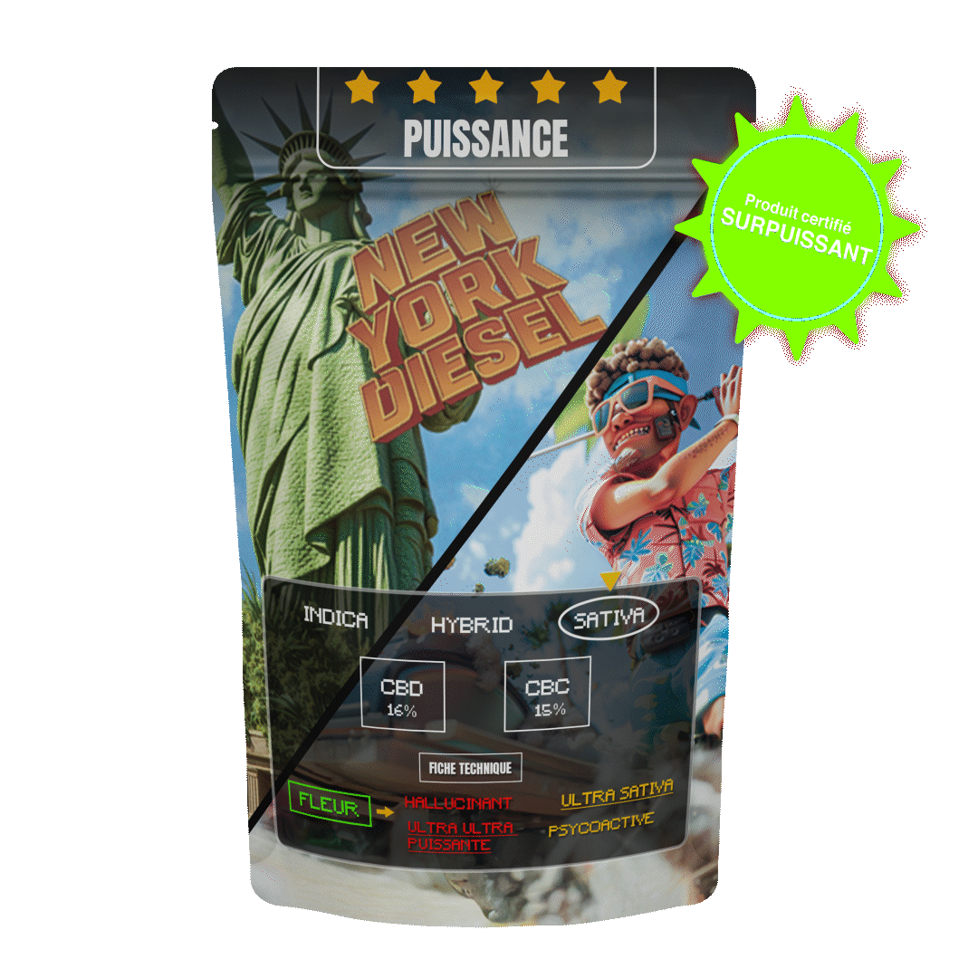 NEW YORK DIESEL