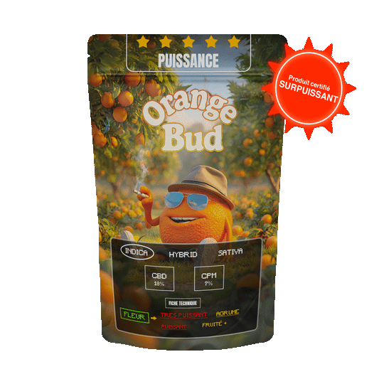 ORANGE BUD
