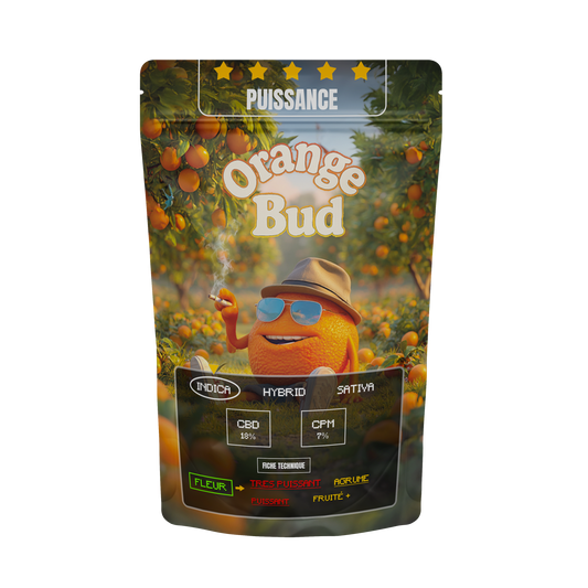 ORANGE BUD